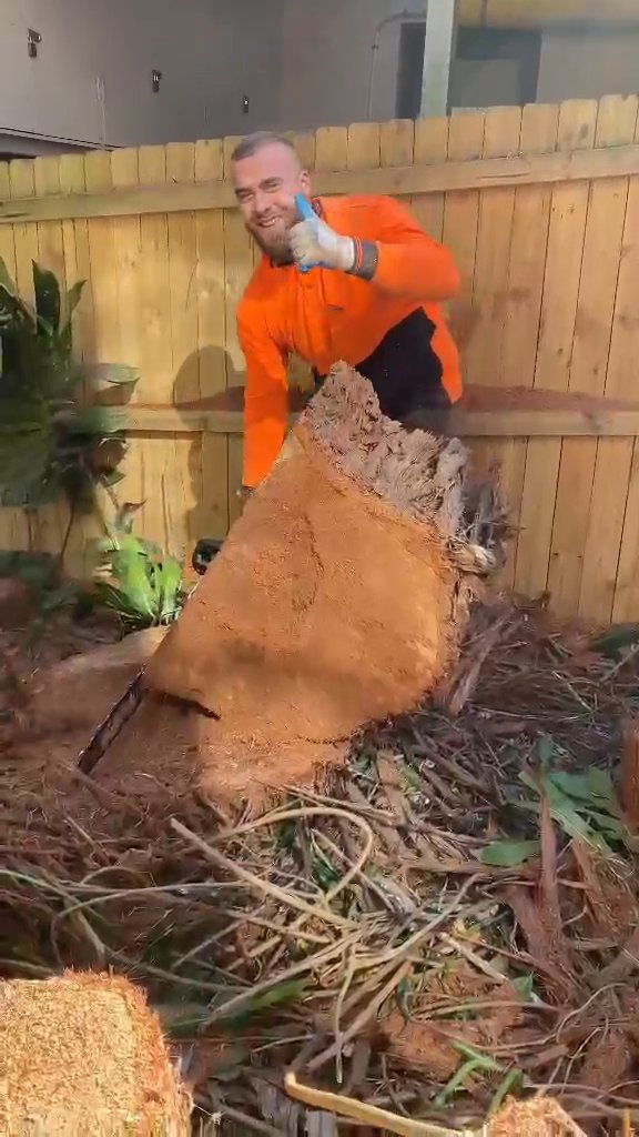 Sydney Tree Lopping Work